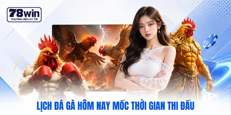 Lịch đá gà hôm nay mốc thời gian thi đấu