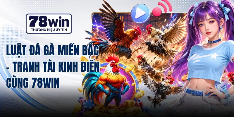 Luật Đá Gà Miền Bắc - Tranh Tài Kinh Điển Cùng 78WIN