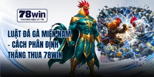 Luật Đá Gà Miền Nam - Cách Phân Định Thắng Thua 78WIN