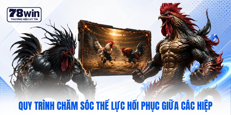 Quy trình chăm sóc thể lực hồi phục giữa các hiệp Quy trình chăm sóc thể lực hồi phục giữa các hiệp